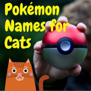 Here's an alt tag for the image: `Pokmon names for cats`
